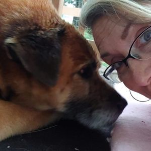 Meet your Posher, Lori